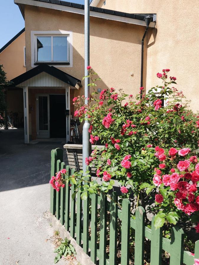 Auberge de jeunesse Birkagatan Vandrarhem à Visby Extérieur photo